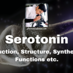 Serotonin: Introduction, Structure, Synthesis and Functions etc.