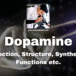 Dopamine: Introduction, Structure, Synthesis, and Functions, etc.