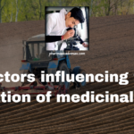 Factors influencing the cultivation of medicinal plants