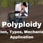 Polyploidy: Definition, Types, Mechanism and Application