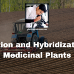 Mutation and Hybridization in Medicinal Plants