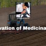 Conservation of Medicinal Plants