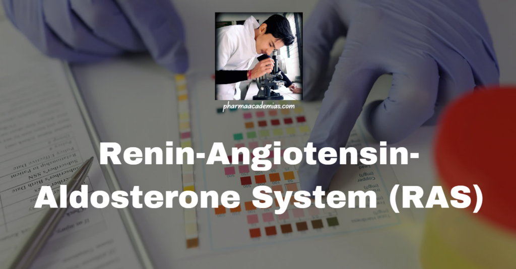 Renin-Angiotensin-Aldosterone System (RAS)