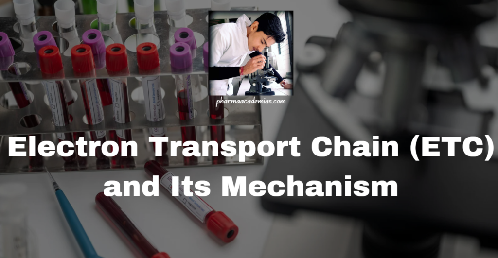 Electron Transport Chain (ETC) and Its Mechanism