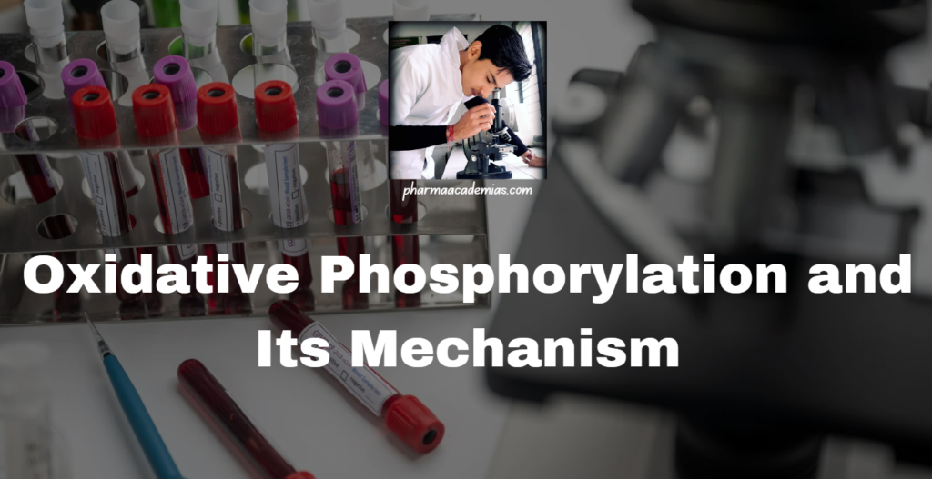 Oxidative Phosphorylation and Its Mechanism