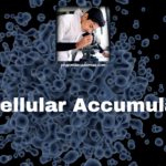  Intracellular Accumulations