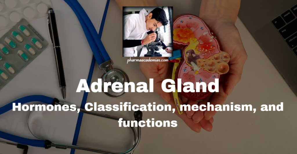 Adrenal Gland: Definition, Structure, Functions, and Disorders