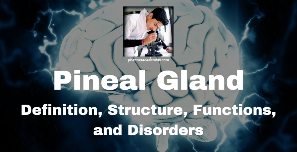 Pineal Gland: Definition, Structure, Functions, and Disorders