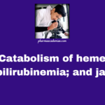 Catabolism of heme; hyperbilirubinemia; and jaundice