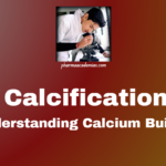 Calcification: Understanding Calcium Buildup