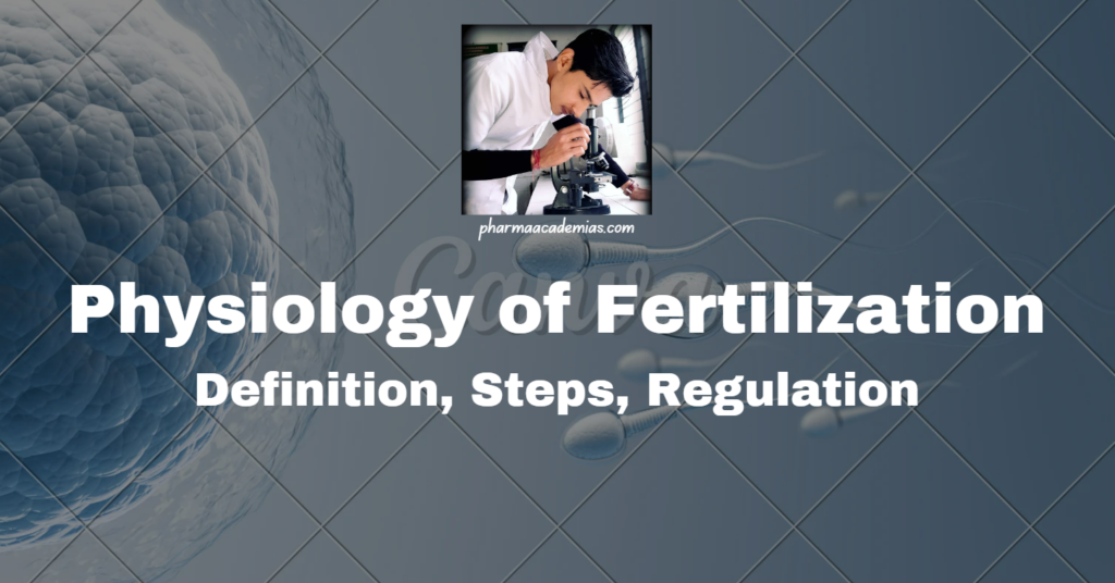 Physiology of Fertilization: Definition, Steps, Regulation