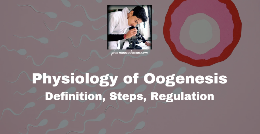 Oogenesis: Definition, Steps, Development, Regulation