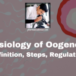 Oogenesis: Definition, Steps, Development, Regulation