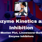 Enzyme Kinetics and Inhibition: Michaelis-Menten Plot, Lineweaver-Burk Plot, and Enzyme Inhibitors