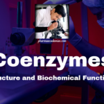 Coenzymes: Structure and Biochemical Functions