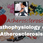 Pathophysiology of Atherosclerosis