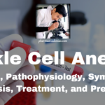 Sickle Cell Anemia: Genetic Basis, Pathophysiology, Symptoms, Diagnosis, Treatment, and Prevention