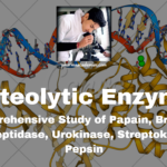 Proteolytic Enzymes: A Comprehensive Study of Papain, Bromelain, Serratiopeptidase, Urokinase, Streptokinase, and Pepsin