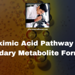 Shikimic Acid Pathway and Secondary Metabolite Formation