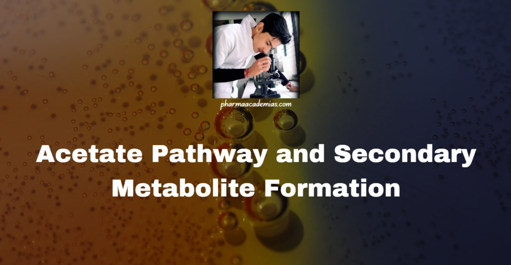 Acetate Pathway and Secondary Metabolite Formation