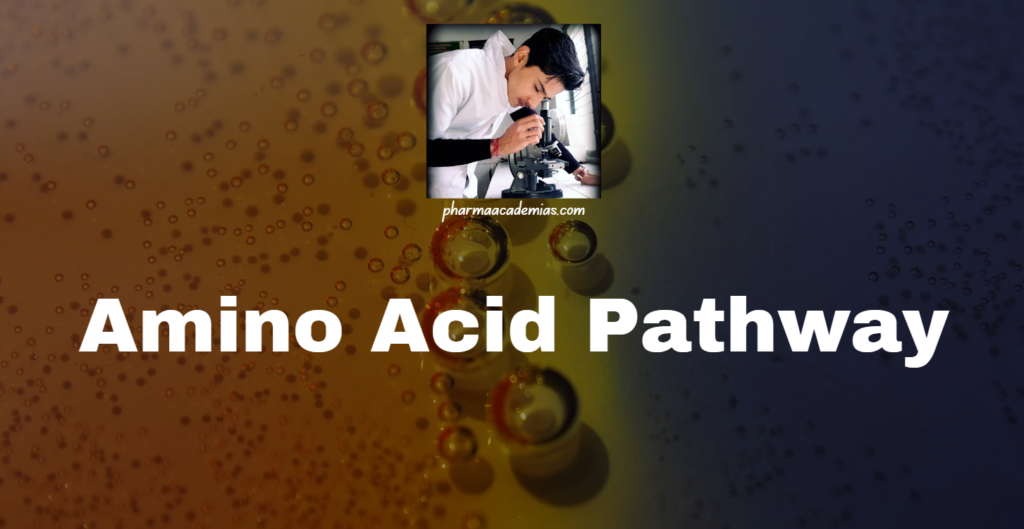 Amino Acid Pathway and Secondary Metabolite Formation