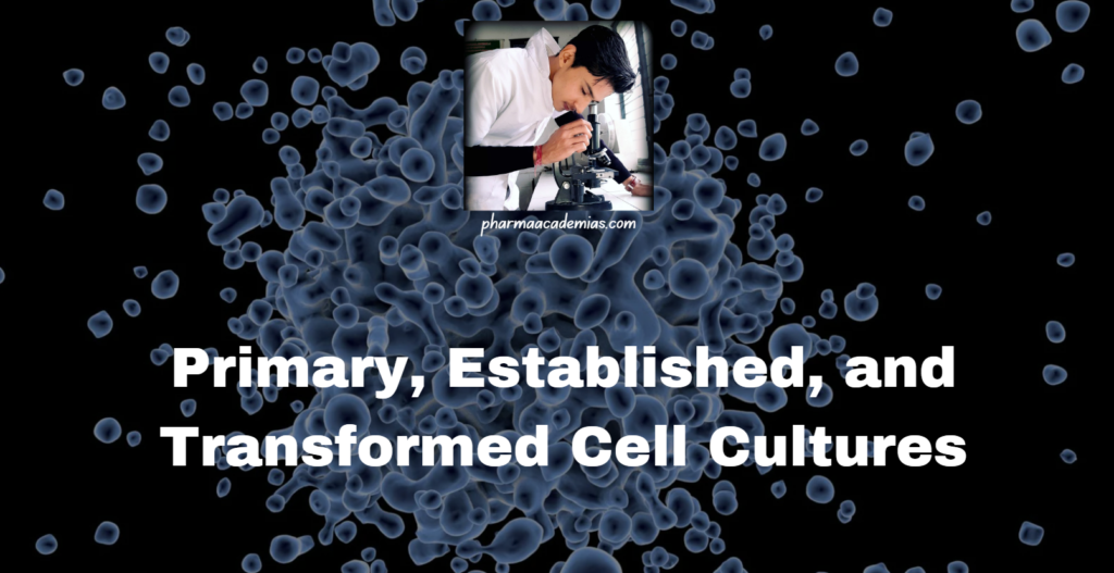 Primary, Established, and Transformed Cell Cultures