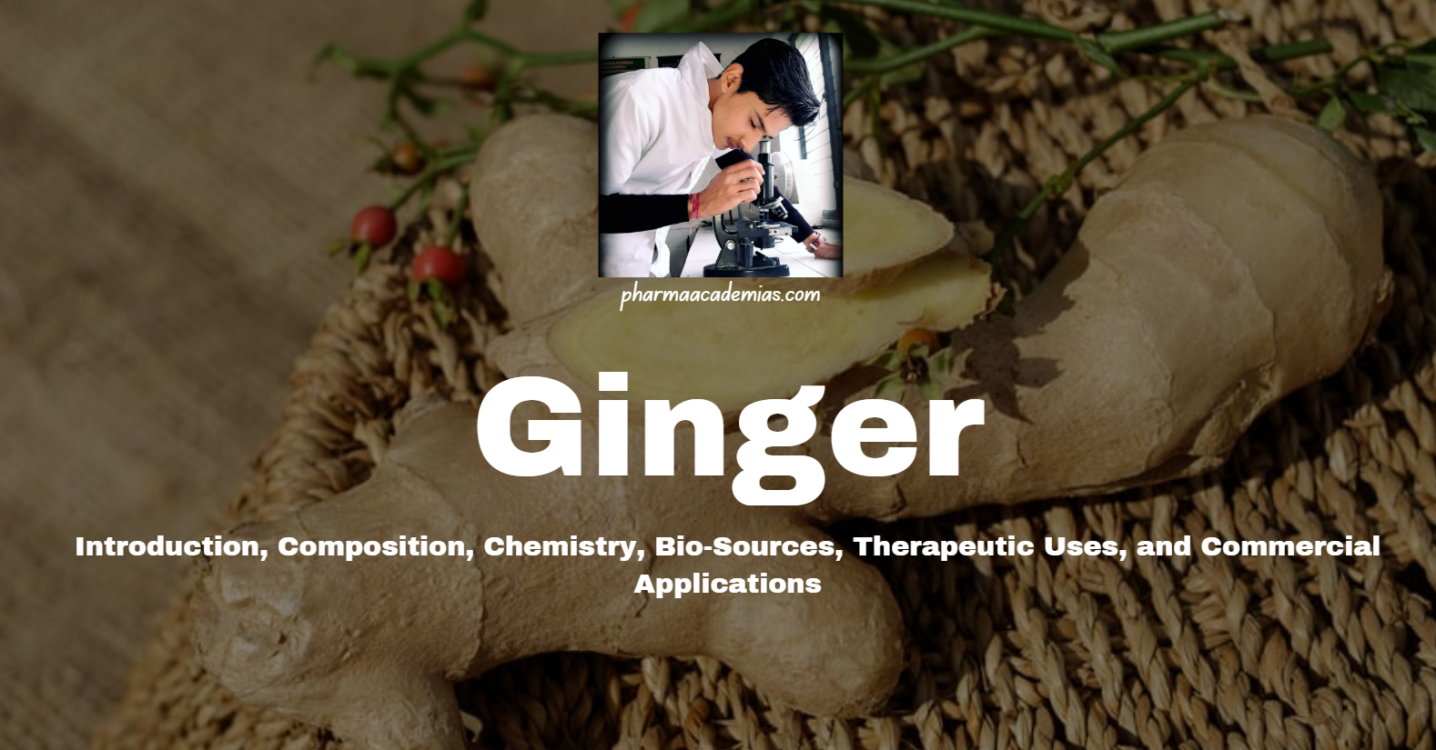 Read more about the article Ginger: Introduction, Composition, Chemistry, Bio-Sources, Therapeutic Uses, and Commercial Applications