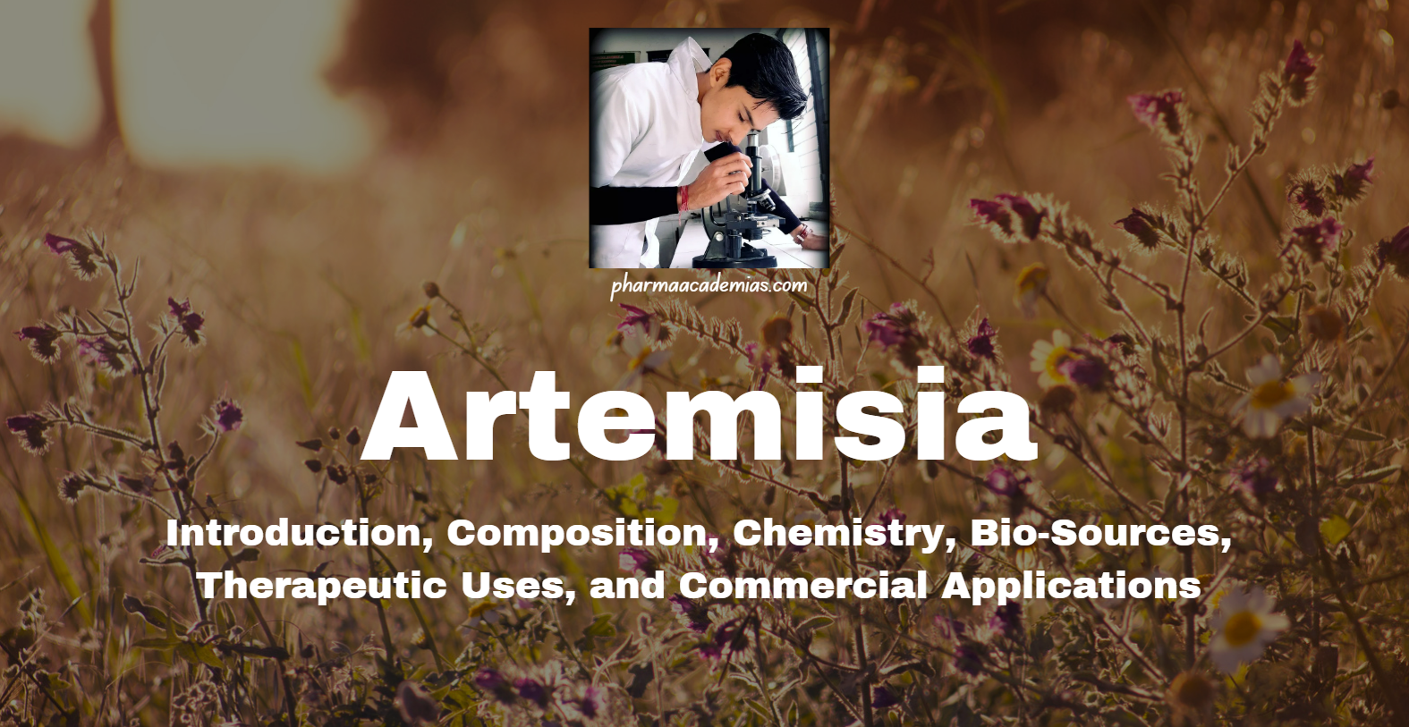 Screenshot 2025 03 29 150059 Artemisia: Introduction, Composition, Chemistry, Bio-Sources, Therapeutic Uses, and Commercial Applications