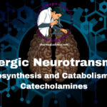 Adrenergic Neurotransmitters