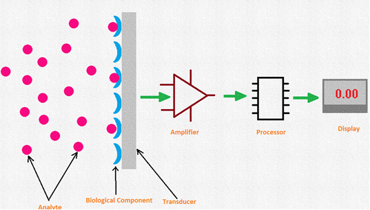 Biosensors