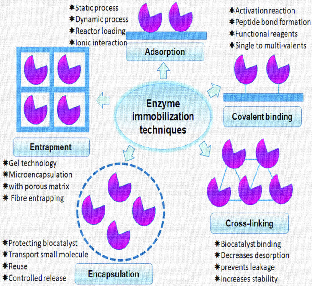 image 60 10 Enzyme Biotechnology: Methods of Enzyme Immobilization and Applications