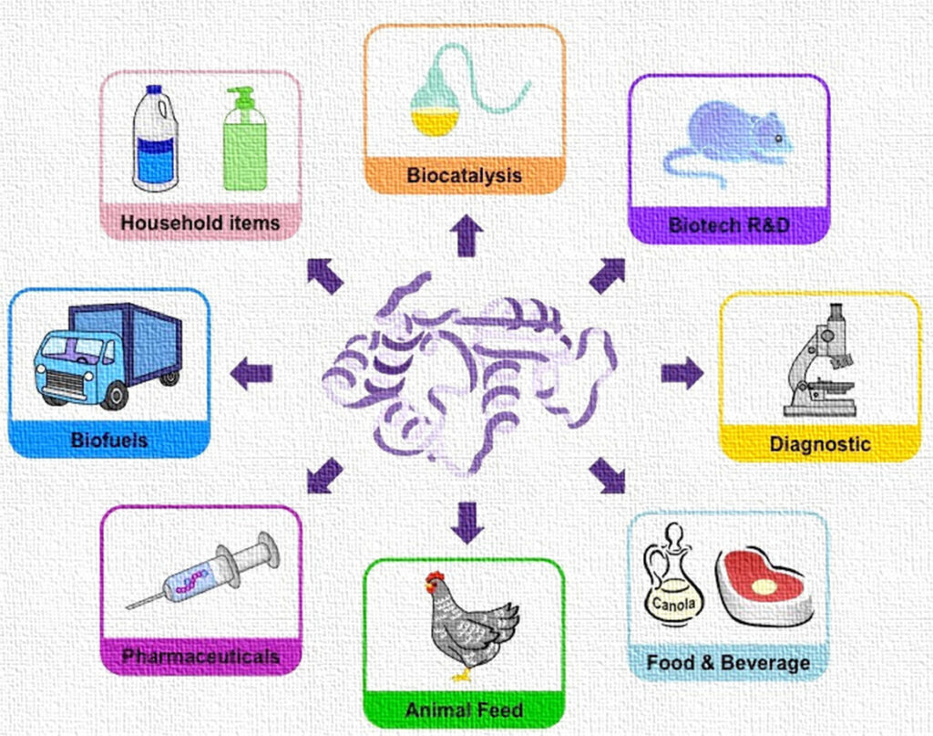 Enzyme Biotechnology