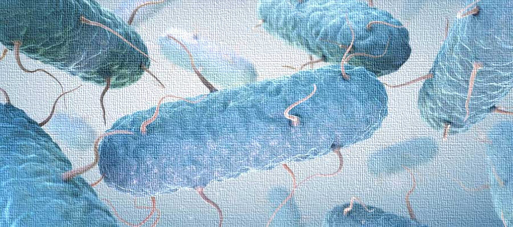 Microbes in the Pharmaceutical Industry